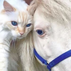 冬季粉底-致敬翰