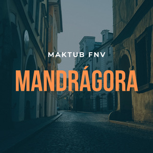 Mandrágora