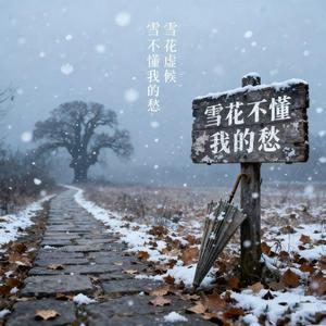 雪花不懂我的愁（女声版）