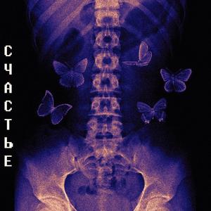 Фотографии