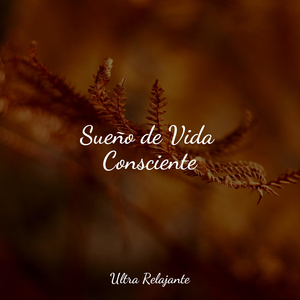 Solo Vuela Lejos