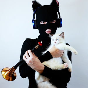 猫中毒（唢呐）