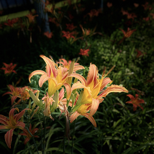 我曾负过年少-郝文杰.WAV