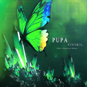 モリモリあつし-PUPA (tRee's Hypercore Remix)（tRee remix）