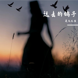远去的鸽子