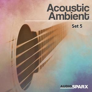 Acoustic Air (Full Version)
