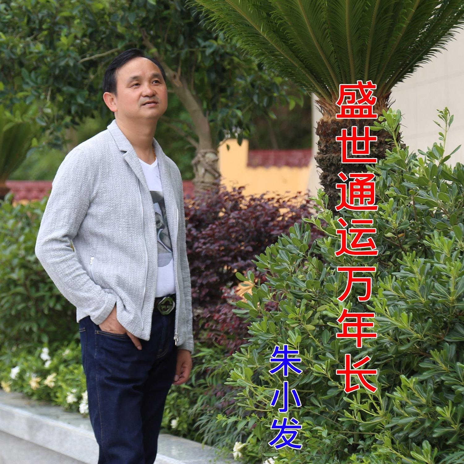 盛世通运万年长 (dj版) - 朱小发 - 网易云音乐