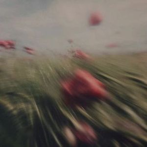 She Dies In The Sea(Ft.米瑞修斯）