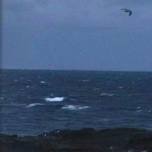 Leave Me Along（寂寞作伴）cover TC