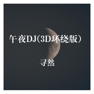 午夜DJ