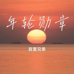 年轮勋章