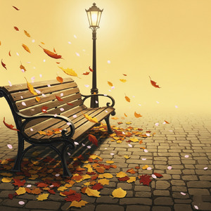 そっと風が吹いた