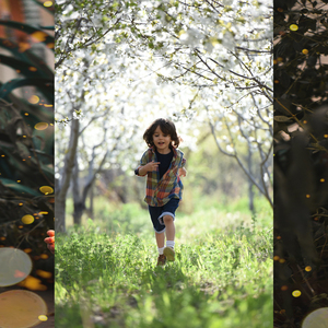 스콧 : 신혼여행 래그