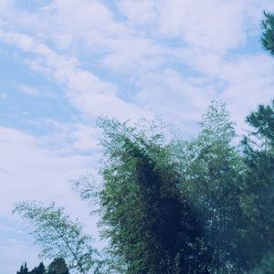 高效阅读快速记忆 (轻松轻音乐)