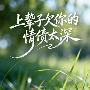 上辈子欠你的情债太深
