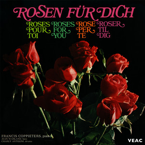 Rosen brauchen Sonnenschein