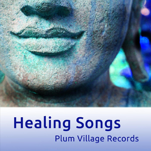 Healing Song (feat. Sister True Vow)