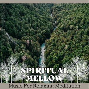 Hushed Moments Beckon