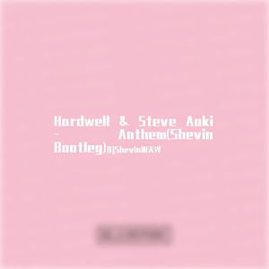 Anthem(Shevin Bootleg)