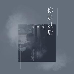 你走以后