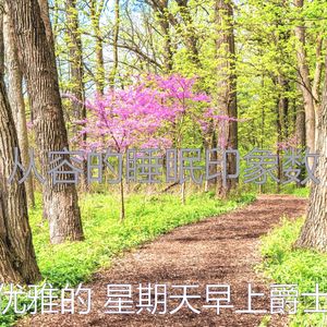 一尘不染假期印象数