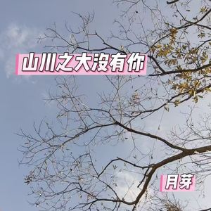 山川之大没有你