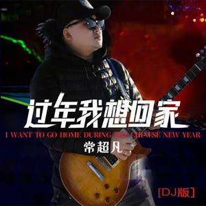 过年我想回家 (DJ版)