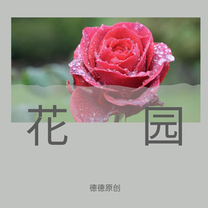 自由