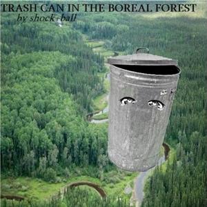 trash can in the boreal forest