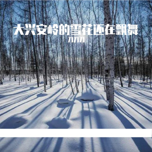 大兴安岭的雪花还在飘舞 伴奏