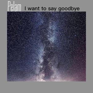 I WANT TO SAY GOODBYE