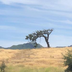 R1D3! (feat. Chan Prix & Neiman Taylor)