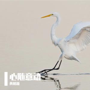 每天爱你多一些伴奏