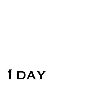 1 Day