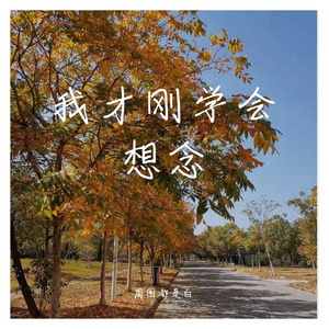 我才刚学会想念