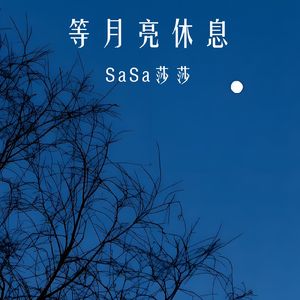 等月亮休息(不要在疲惫的时候 审视自己的人生)