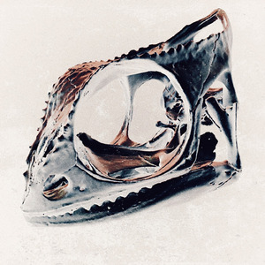 CHAMELEON (Lost Chameleon Edit)