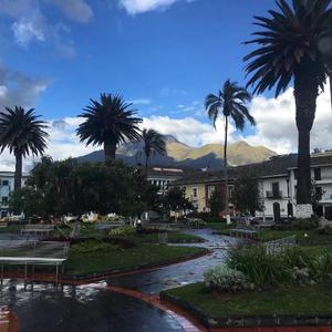 Lewis Capaldi-Someone You Loved（CHENYI remix）