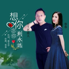 想你念你到永远 (DJ版)