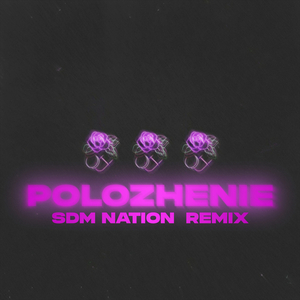 Polozhenie (SDM Nation Remix)
