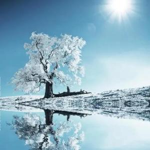 你还是从前的你吗