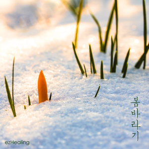 눈 내린 땅의 겨울