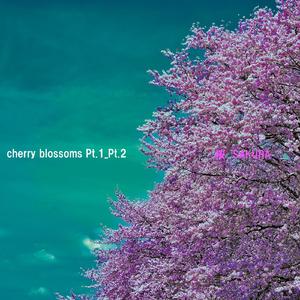 cherry blossoms Pt.2