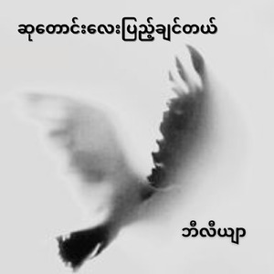 Su Taung Lay Pyae Chin Tal