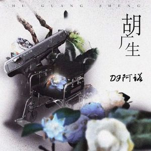 胡广生（DJ阿诺版）