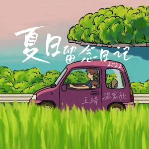 夏日留念日记