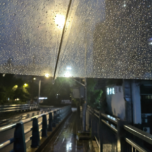 雨