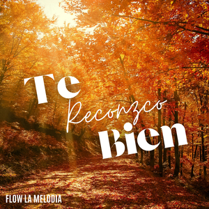 Impresionante