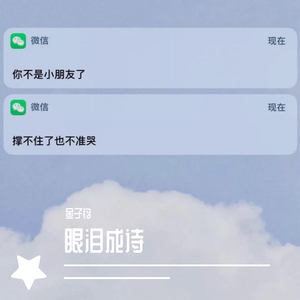 眼泪成诗