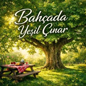 BAHÇADA YEŞİL ÇINAR